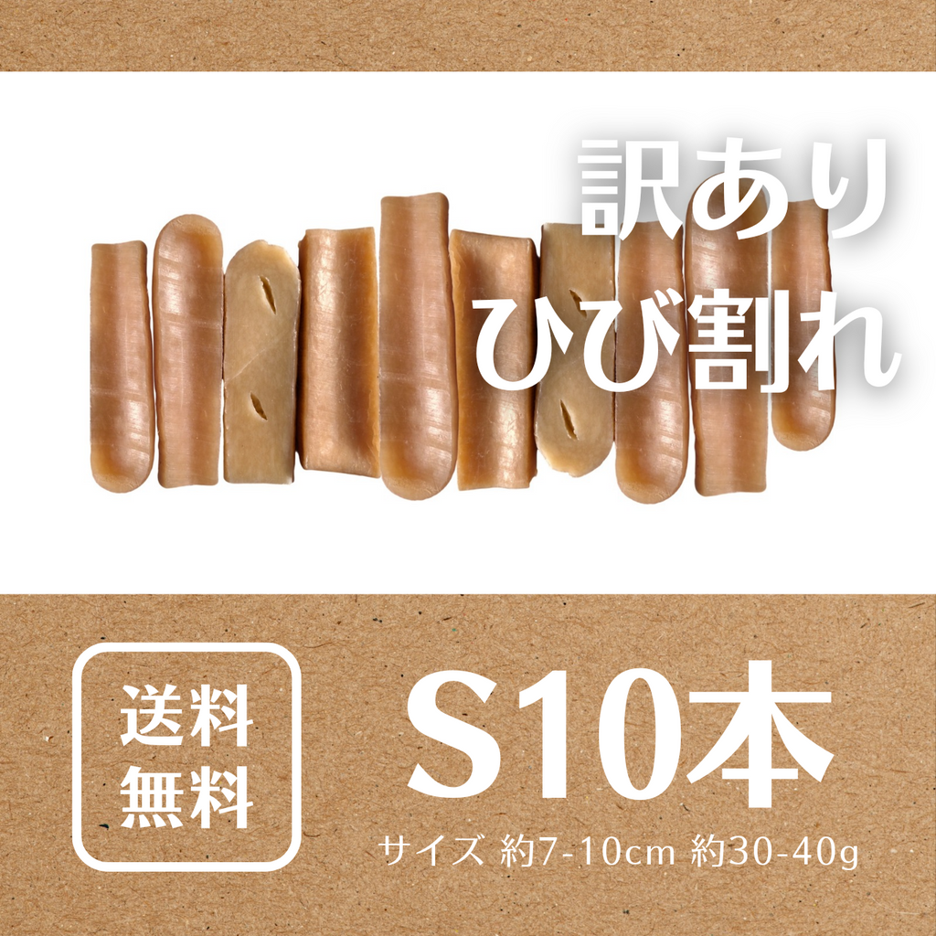 ○訳あり○ 小型犬用 ひび割れ S10本 ラマ家のヤクミルクチーズ