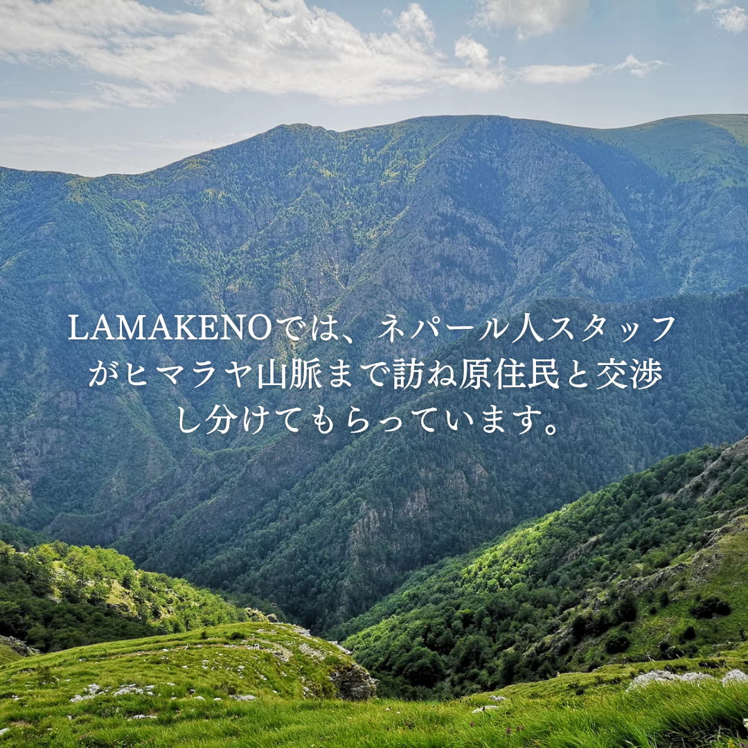 LAMAKENO ラマチー ●徳用● M3本 13.5-16cm ラマ家のヤクミルクチーズスティックタイプ  ヤクミルク100%