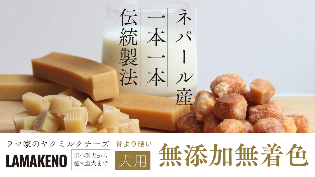 LAMAKENO ラマチー ●超徳用● 中型犬用 M10本(1本493円)ラマ家のヤクミルクチーズ スティックタイプ