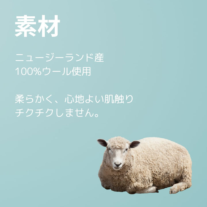 LAMAKENO オリジナル フェルト生地のペットハウス サボテン 自然製法 ハンドメイド ウール100%