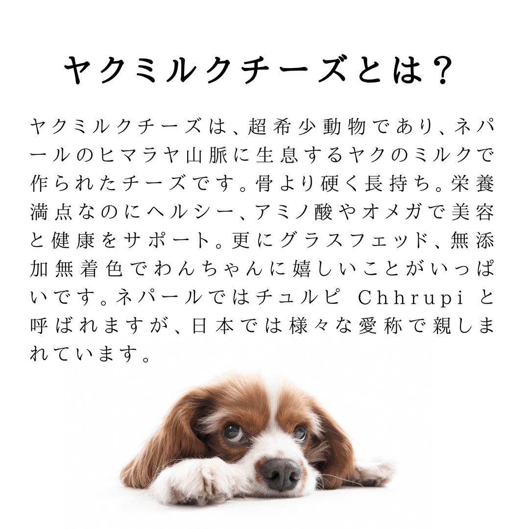 MEGA3本 LAMAKENO® ●ラマチー● 超大型犬用 ラマ家のヤクミルクチーズ プレミアムグレード 真空パック