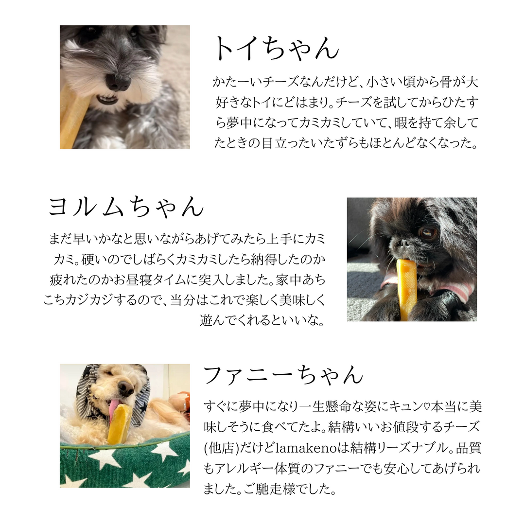 L1本 LAMAKENO® ●ラマチー● 大型犬用 ラマ家のヤクミルクチーズ プレミアムグレード 真空パックでお届け 送料無料