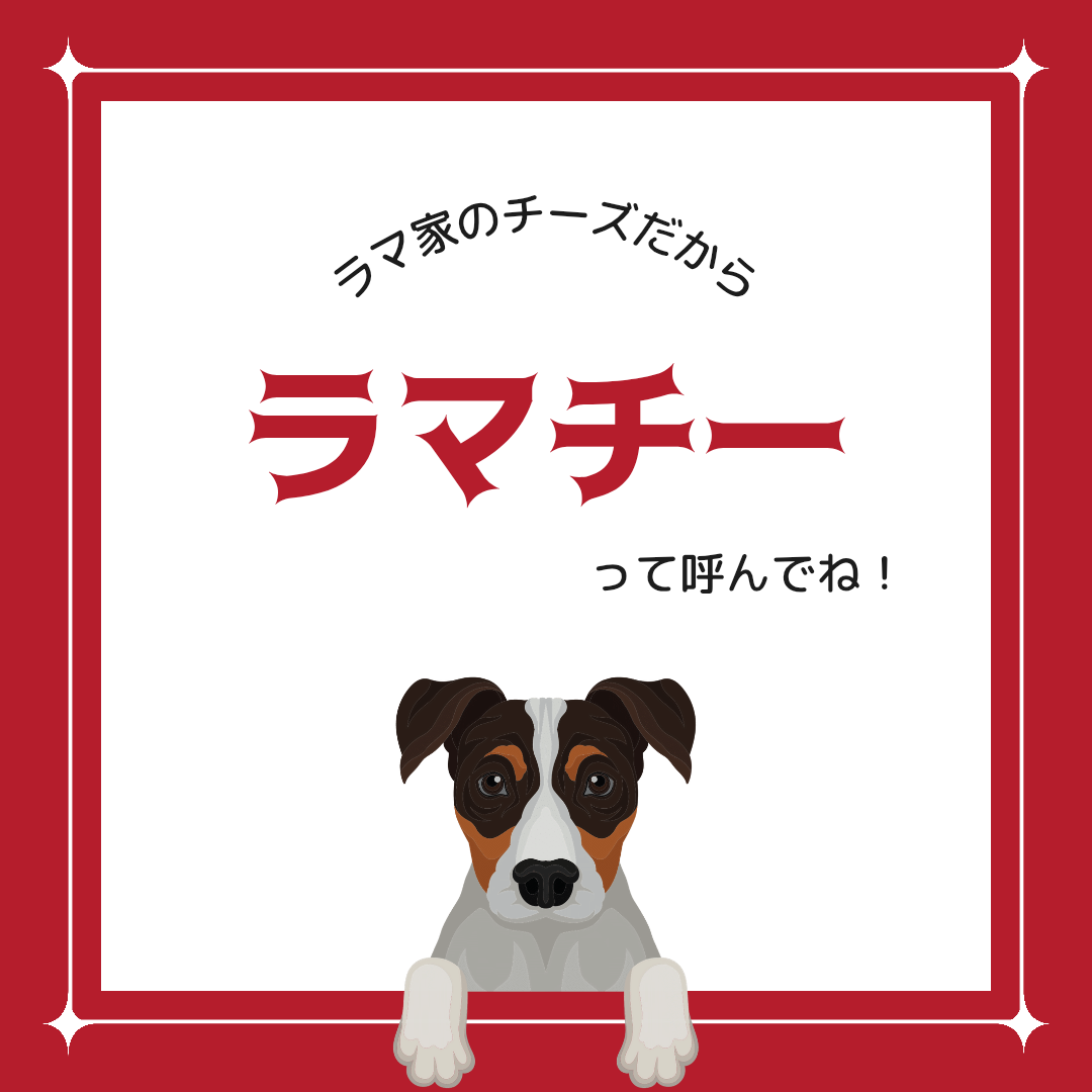 LAMAKENO ラマチー ●超徳用● 中型犬用 M10本(1本493円)ラマ家のヤクミルクチーズ スティックタイプ
