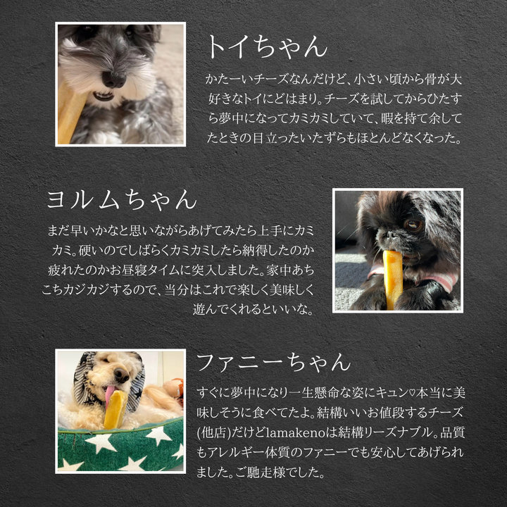 M3本 LAMAKENO® ラマ家のヤクミルクチーズ ヤクミルク100% 無添加無着色