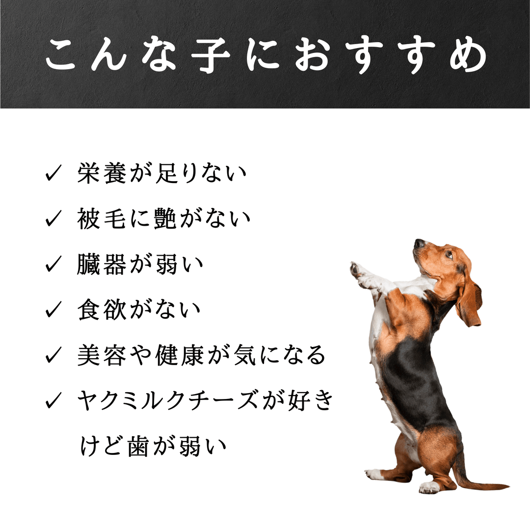 LAMAKENO® ラマ家のヤクミルクチーズ ふりかけパウダー100g 真空パックでお届け 送料無料