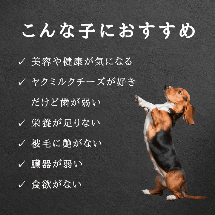 LAMAKENO® ラマ家のヤクミルクチーズ ふりかけパウダー100g  送料無料