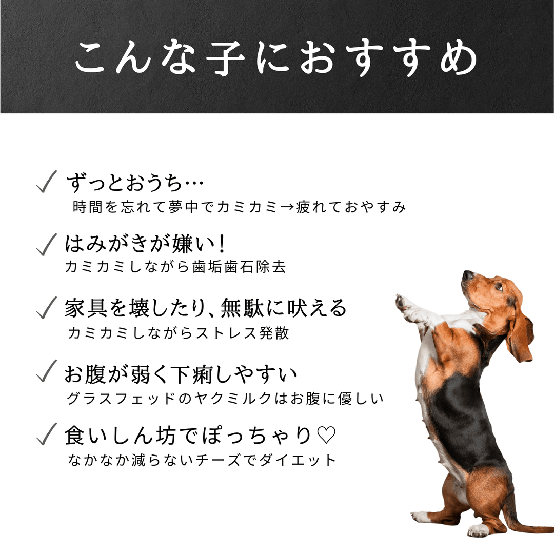 L1本 LAMAKENO® ●ラマチー● 大型犬用 ラマ家のヤクミルクチーズ プレミアムグレード 真空パックでお届け 送料無料