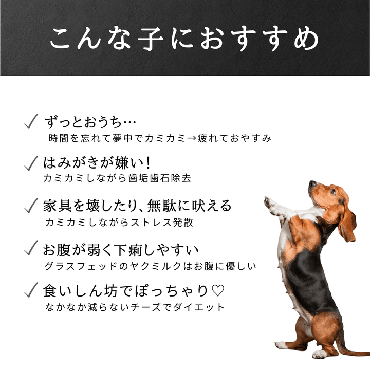 L1本 LAMAKENO® ●ラマチー● 大型犬用 ラマ家のヤクミルクチーズ プレミアムグレード 真空パックでお届け 送料無料