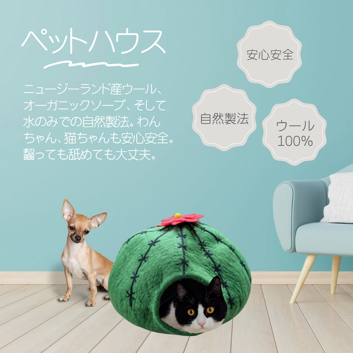 LAMAKENO オリジナル フェルト生地のペットハウス サボテン 自然製法 ハンドメイド ウール100%